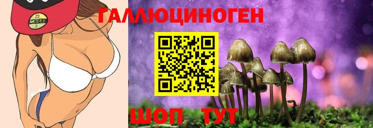 купить наркотик  Галлюциногенные грибы Cubensis  Вход с VPN  Псилоцибиновые грибы Psilocybe  Дубна 